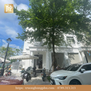 Thi công phòng xông khô gỗ Ngọc Am máy Harvia Vinhomes Marina